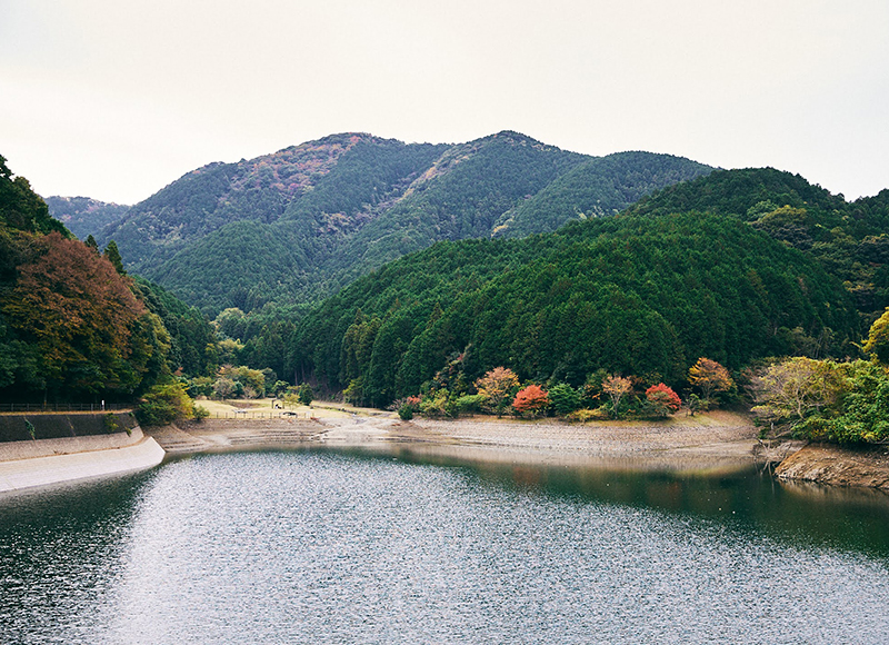 海も山もある自然の豊かさ