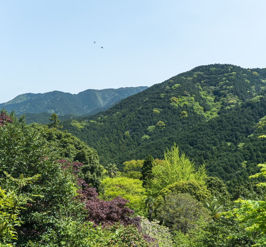 快生館からの眺望